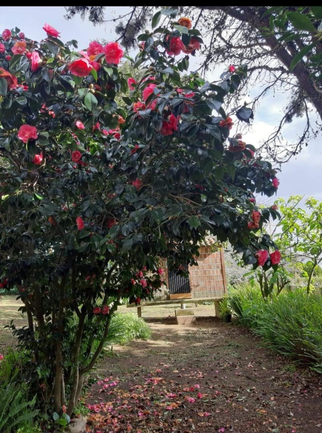 Casa Tina Villa A Guarda Buitenkant foto